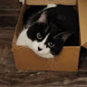 Meet your Posher, Ronald